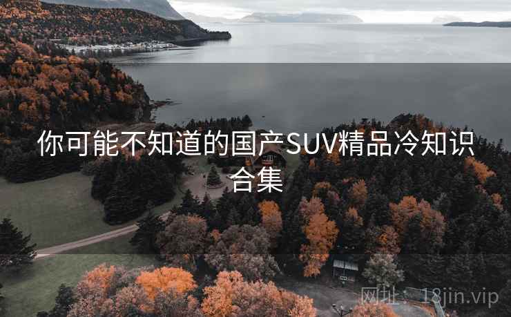 你可能不知道的国产SUV精品冷知识合集